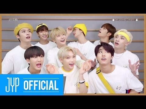 Stray Kids "부작용(Side Effects)" Fan Featuring Guide Video