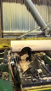 Cutting saddle notches in a 12” round Swedish cope log kit | Sisson Dupont & Carder