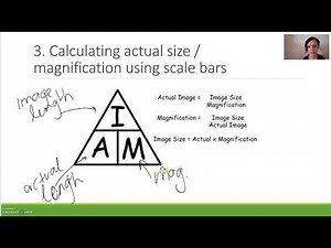 Calculating magnification