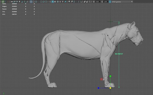 maya中调整模型尺寸比例