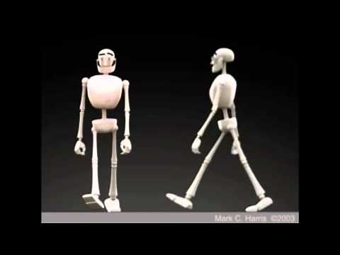 Walk Cycles Compilation