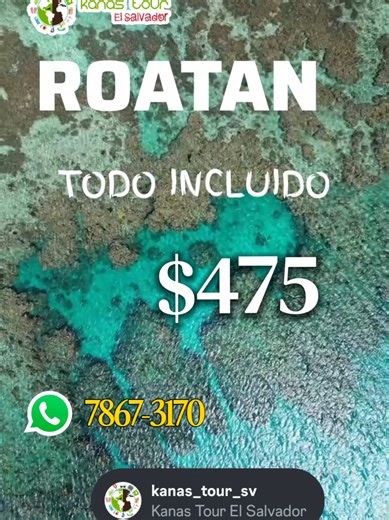 🌴✈️ ¡ESCÁPATE AL PARAÍSO EN ROATÁN! 🇭🇳 Disfruta de playas de arena blanca, agua cristalina y uno de los arrecifes más hermosos del Caribe. 🐠🏝️ 📍 Aplica para acomodación cuádruple 📅 Viajando del 3 de mayo al 25 de junio 💰 Tarifa más impuestos por cada asistente Perfecto para viajar con amigos o familia y vivir una experiencia inolvidable en el Caribe. 🌊☀️ 📲 Reserva ahora por WhatsApp: 7867-3170 #Roatan #RoatanHonduras #ViajaAlCaribe #PaquetesTuristicos #ViajaBarato OfertasDeViaje Viajes