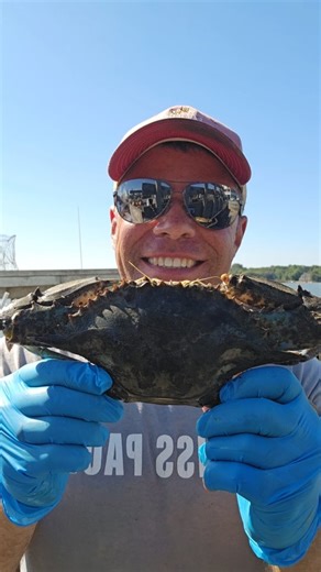 CJ Canby Crab Dad | Dark Dirty Rusty Maryland Crab #maryland #chesapeake #seafood #baltimore #crabs #fishing #annapolis | Instagram