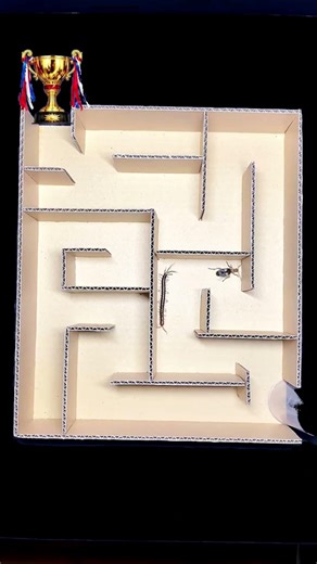 Centipede VS Bombardier insect maze art🐛 #bugsgame #foryou