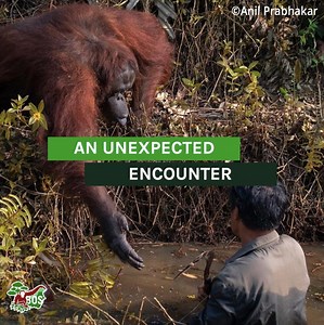 Here is the story behind the photo of the unexpected meeting that went viral over the weekend. | BOS Foundation