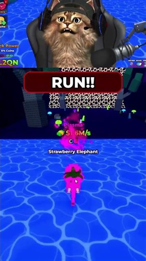 Can Strawberry Elephant Outrun the Bye Bye Wave? #kickaluckyblock