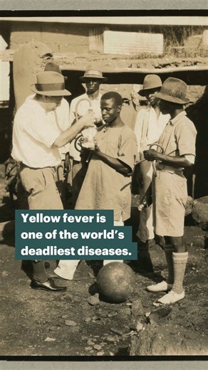 Thanks to over three decades of research, American GIs were protected in World War II from yellow fever, one of the world’s deadliest diseases. To celebrate our 112th anniversary, we’re sharing how we supported scientific innovations to improve the well-being of humanity. Learn more about our Big Bets: https://rockfound.link/43vbRwR | Rockefeller Foundation