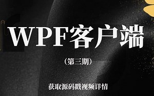 【2020年12月】WPF客户端实战合集（第三期）零基础小白教程|典型客户端应用（C#/.Net/.Net Core/wpf/上位机/数据绑定/界面布局）