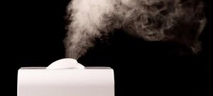 How to Maintain the Proper Humidity Levels in Your Home | DoItYourself.com