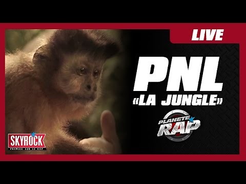 PNL "Jungle" #PlanèteRap