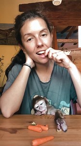 256K views · 11K reactions | Love, Respect and Carrots 李凌 • ❗️IMPORTANT NOTICE: Monkeys are wild animals, NOT pets! ❌ This monkey☝️is rescued, ⚠️ has severe health problems and needs special care throughout life. And we are veterinarians 喙 who have own hospital and a sanctuary  for rescued animals like this monkey. Please try to understand that monkeys shouldn’t be used for entertainment, shows, circuses or being temporary toys.嵐 | Vet Crew | Facebook