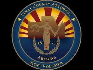 The Diversion Program