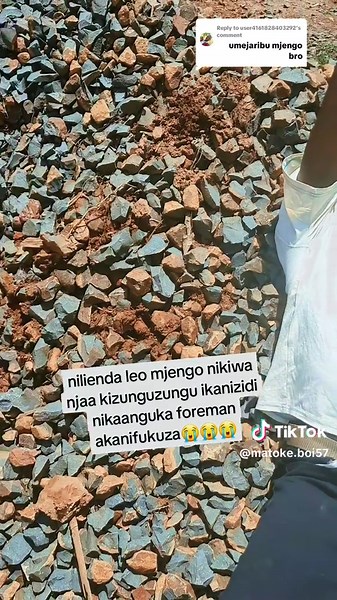 Navigating Campus Challenges: Insights and Advice