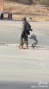 6.5K views · 82 reactions | Ejército chino presenta sus perros robots con ametralladoras en la espalda  Durante la demostración, sin embargo, los robots nunca percutaron el arsenal incorporado a sus espaldas. Detalles en el link  https://www.descubriendochina.org/post/ejército-chino-presenta-sus-perros-robots-con-ametralladoras-en-la-espalda #China #Asia #Robot #Perro #Ejercito #Militar | Descubriendo China | Facebook