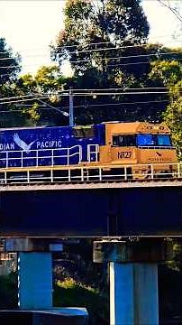 Indian Pacific Train On A Bridge #railway #trainspotting #railfanning #trainspotter #indianrailways