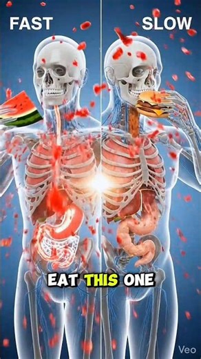 Fast vs Slow Digestion — What Happens Inside Your Body#health#anatomy#digestion#science#shorts