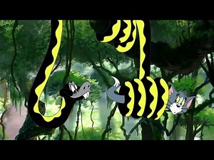 Tom gets Coiled by a Snake (HD)