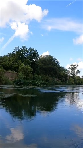Fishing Frog on Reels