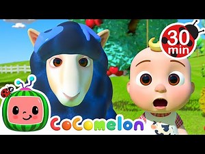 Chasing the Runaway Sheep! 🐑💦 | CoComelon | Kids Songs & Nursery Rhymes