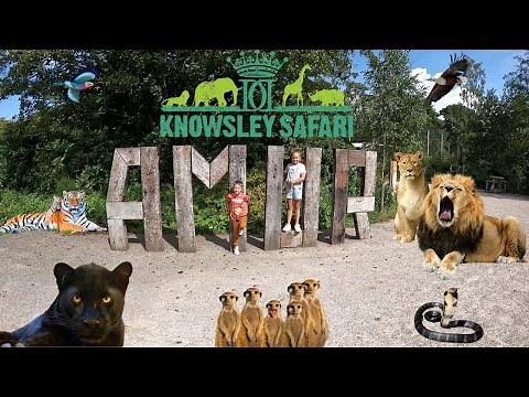 Knowsley Safari Park - Full safari Tour