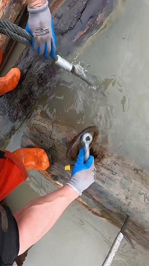 Log runners log #fyp #foryou