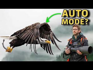 Why PROs Rely on Manual Mode with Auto ISO for Wildlife Photography