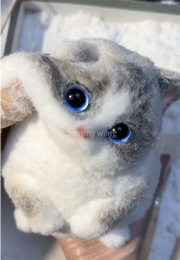 Squeeze the Cat: Handmade Fun That Brings Happiness