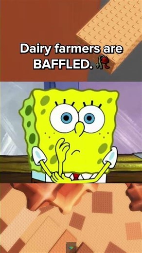 THAT IS A LOT OF CHEESE😭💀#roblox #robloxrant #rblx #relatable