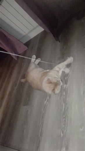 захотел поиграть🤭