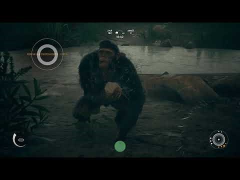 Ancestors ( TUTO ) FR ! Comment bien débuter ?