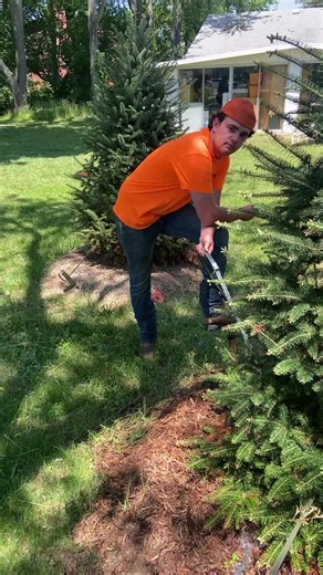 Timothy Long on TikTok