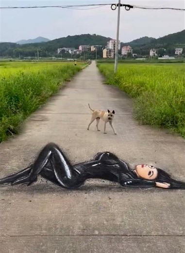 Amazing Drawing 3D Art 242
