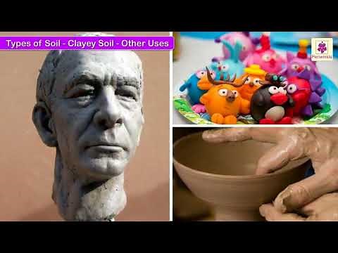 The Story of Soil | Science For Kids | Periwinkle