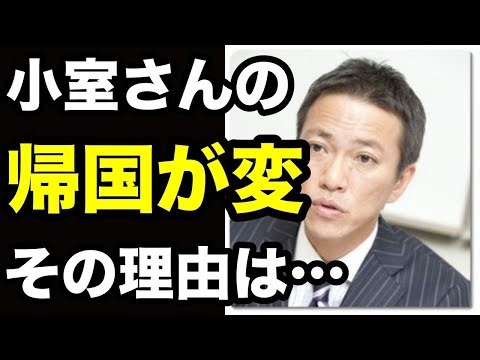 【衝撃大惨事】国際弁護士の八代氏が小室氏の緊急帰国が異常な理由を説明…事情を知る別弁護士も実情を語り見えてきた実態にあ然... ｗｗｗ