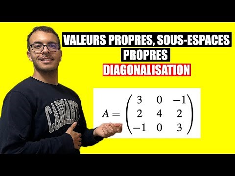 Valeurs propres, vecteurs propres, sous espaces propres et diagonalisation