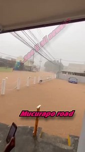 35K views · 365 reactions | Mucurapo Road.. | Look The Brightstar Trinidad &Tobago | Facebook