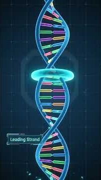 How DNA Replicates in 60 Seconds! 🧬 #Shorts