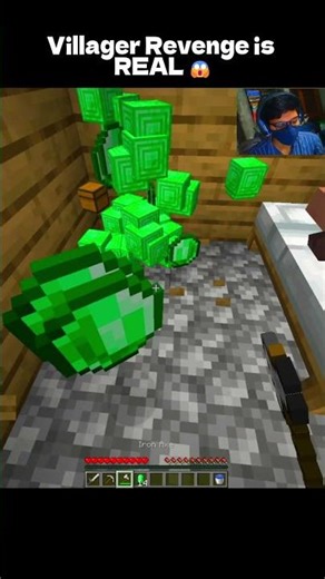 I Killed a Villager… Then THIS Happened 💀 #minecraft