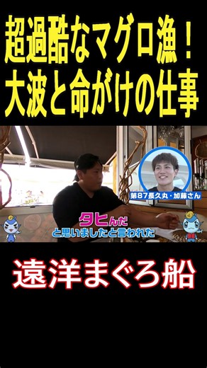 【まぐろ船】超過酷なマグロ漁！大波と命がけの仕事、、#航海 #漁師