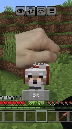 This MOD Is CRAZY 🤣🤯 #funntvideo #shorts #minecraft