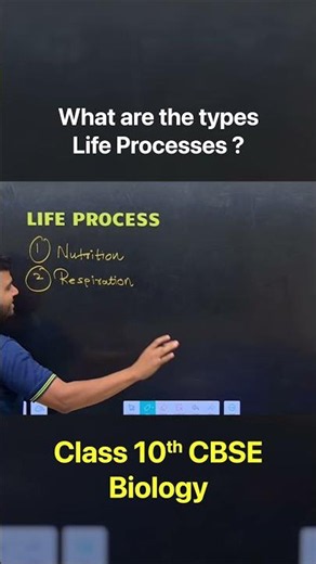 🧬 What are the four essential life processes that keep us alive? 🌱