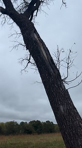 A push to keep it off the fence | Turner Logging, LLC