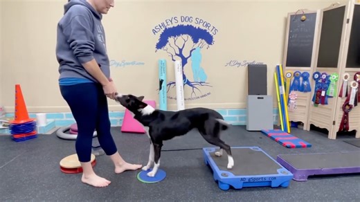 2.3K views · 32 reactions | Got platforms or balance gear collecting...