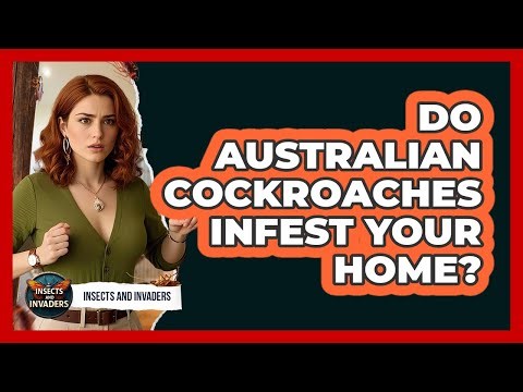 Do Australian Cockroaches Infest Your Home?