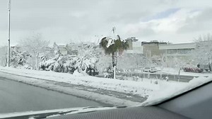 32 reactions | روژيكى به فراوى جوانى شارى سليمانى ٢٠-١-٢٠٢٢ نوسينگه ى شيرين سوپاس بولايك كردنى په يجى نوسينگه ى شيرين ☁️☁️ | نوسینگەی شیرین Nusingai Shirin | Facebook