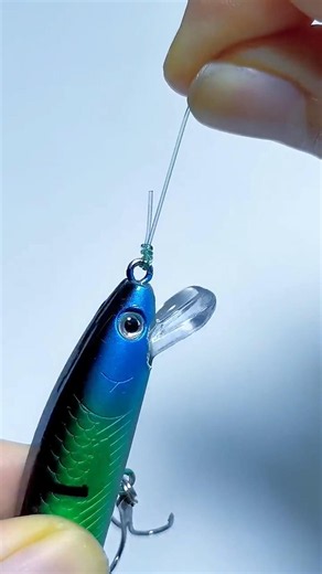 現在入手可能なプラスチック製釣りルアーの結び方の中で、最も安全な結び方です🎣🎣#fishing #shorts