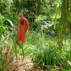 1.8M views · 22K reactions | 6.21.A chemical spill permits six dangerous inmates to escape, including Kono's husband, Adam.mp4 | Sarahi Villegas | Facebook