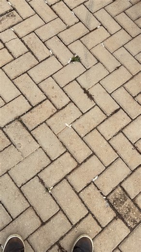 Banda Brasil 2000 on Reels