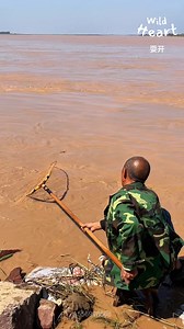 Ancient Scoop Net Fishing Method #fishing #fishinglife #yellowriver #riverlife #ruralliving | Wild Heart