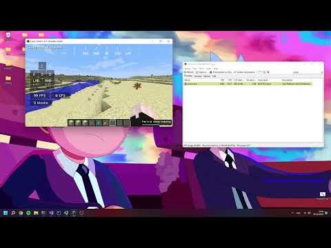 Hera Devlog #2 | C++ and java minecraft client
